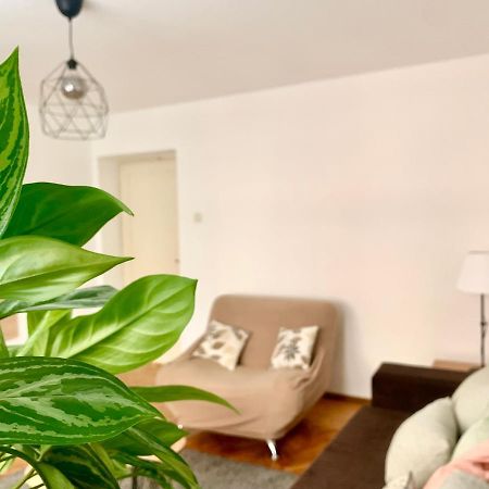 Star Apartment 2 Beograd Eksteriør billede